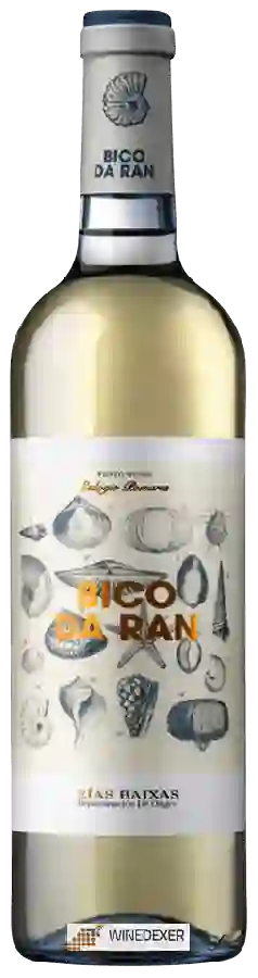 Winery Fento - Bico da Ran