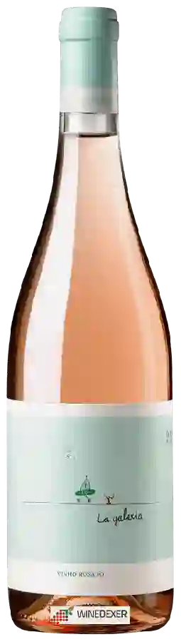 Winery Fento - La Galaxia Rosado