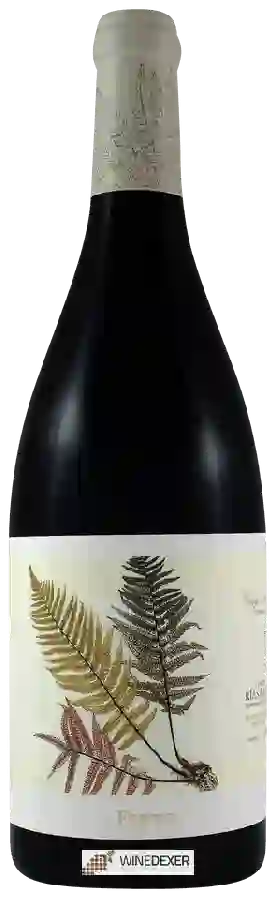 Winery Fento - Tinto Winery Fento - Tinto