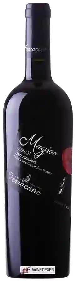 Winery Ferracane - Magico Merlot Winery Ferracane - Magico Merlot