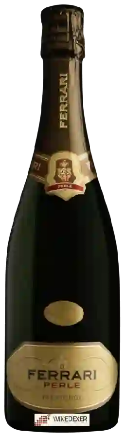 Winery Ferrari - Perlé Winery Ferrari - Perlé