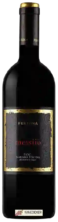 Winery Fertuna - Messiio Maremma Toscana Winery Fertuna - Messiio Maremma Toscana