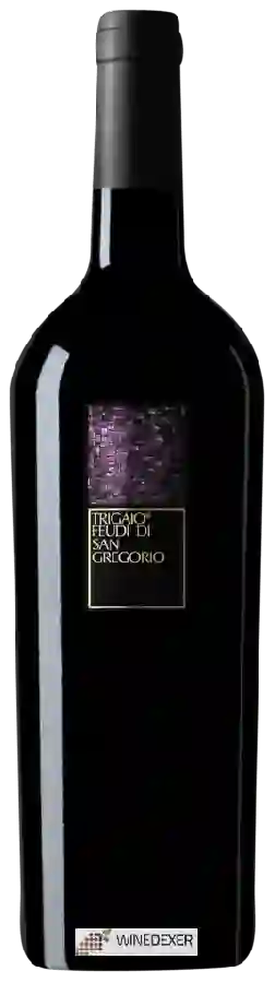 Winery Feudi di San Gregorio - Trigaio Winery Feudi di San Gregorio - Trigaio