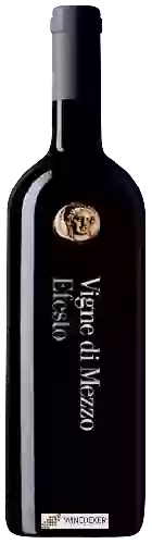 Winery Feudi di San Gregorio - Vigne di Mezzo Efesto