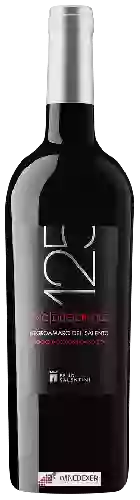 Winery Feudi Salentini - 125 Uno Due Cinque Negroamaro del Salento