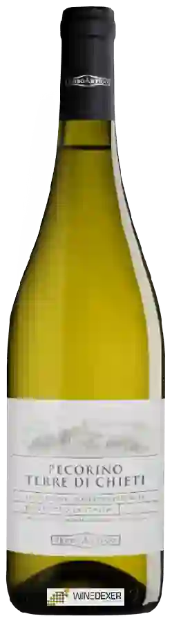 Winery Feudo Antico - Pecorino