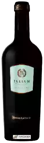 Winery Feudo Antico - Tullum Passerina