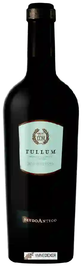 Winery Feudo Antico - Tullum Passerina