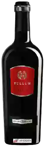 Winery Feudo Antico - Tullum Rosso