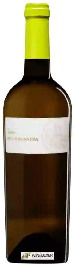 Winery Feudo Bannera - Inzolia