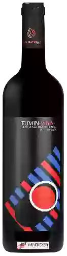 Winery Feudo di San Maurizio - Fumin