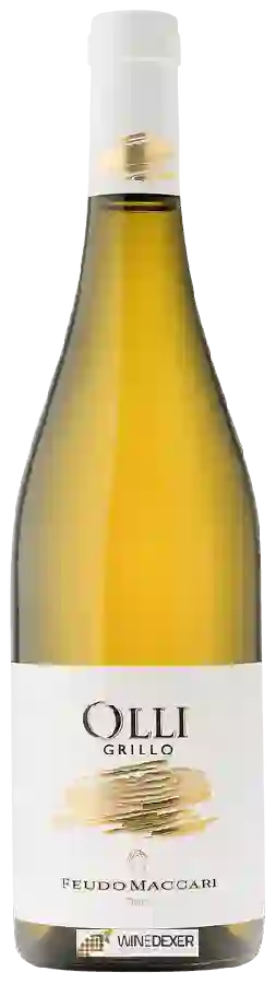 Winery Feudo Maccari - Olli Winery Feudo Maccari - Olli
