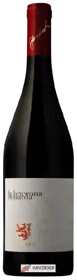 Winery Fiamberti - La Briccona Bonarda
