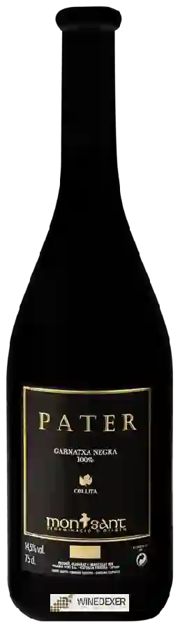 Winery Ficaria - Pater Garnatxa Negra