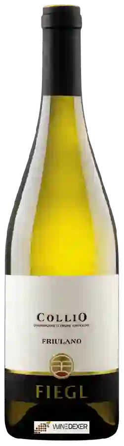Winery Fiegl - Friulano Collio Winery Fiegl - Friulano Collio