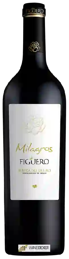 Winery Figuero - Milagros de Figuero