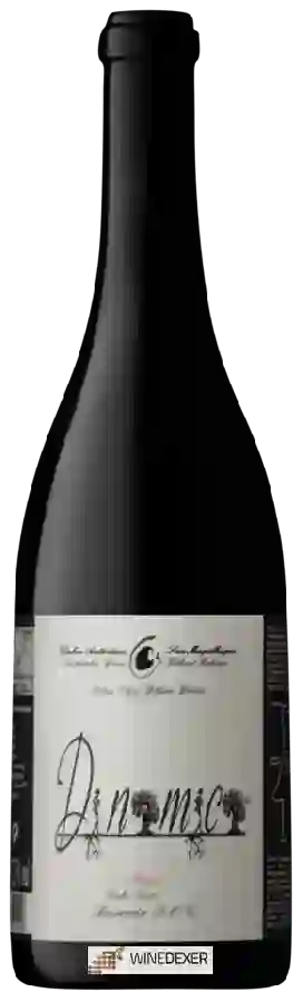 Winery Filipa Pato - DNMC - Dinâmico Tinto Winery Filipa Pato - DNMC - Dinâmico Tinto