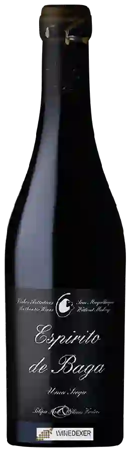 Winery Filipa Pato - Espírito de Baga Uma Saga Winery Filipa Pato - Espírito de Baga Uma Saga