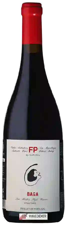 Winery Filipa Pato - FP Baga