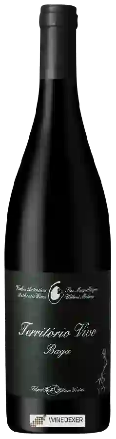 Winery Filipa Pato - Território Vivo Baga Winery Filipa Pato - Território Vivo Baga