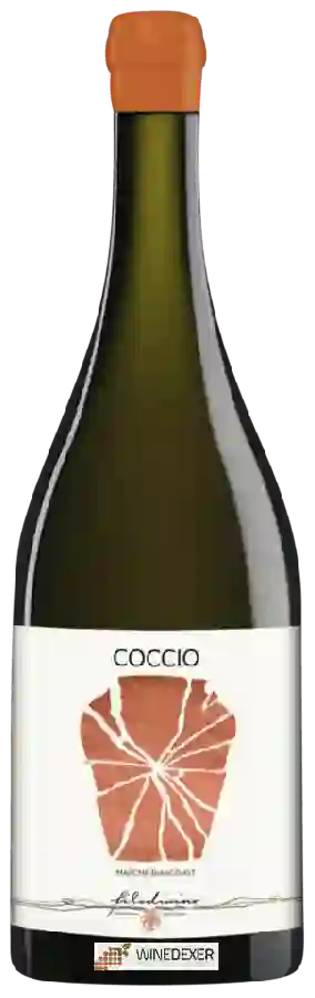 Winery Filodivino - Coccio Marche Bianco