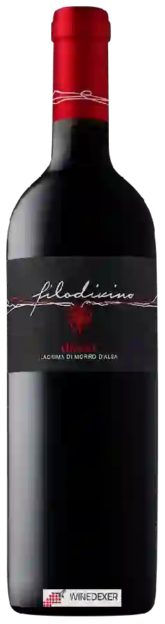 Winery Filodivino - Diana Lacrima di Morro d'Alba Winery Filodivino - Diana Lacrima di Morro d'Alba