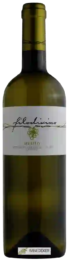 Winery Filodivino - Matto Verdicchio dei Castelli di Jesi Classico