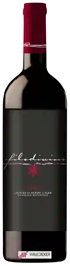 Winery Filodivino - Soara Lacrima di Morro d'Alba Classico Superiore