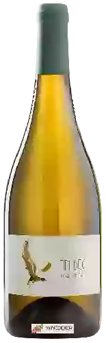 Cave Fin Bec - Chardonnay