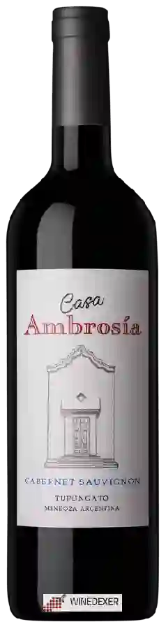 Winery Finca Ambrosia - Casa Ambrosía Cabernet Sauvignon
