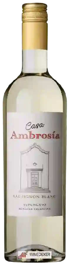 Winery Finca Ambrosia - Casa Ambrosía Sauvignon Blanc