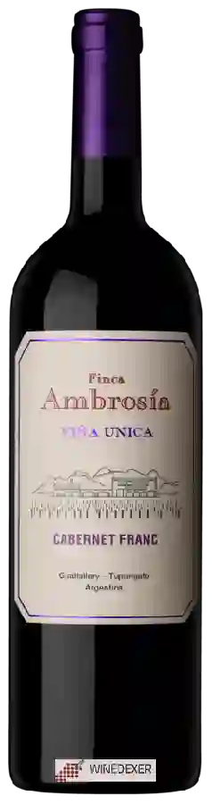 Winery Finca Ambrosia - Viña Unica Cabernet Franc Winery Finca Ambrosia - Viña Unica Cabernet Franc