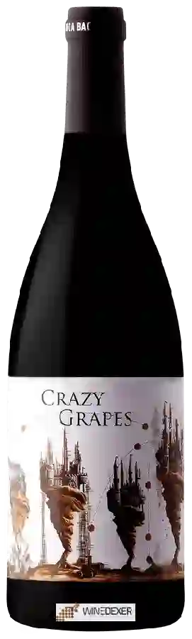 Winery Finca Bacara - Crazy Grapes Monastrell