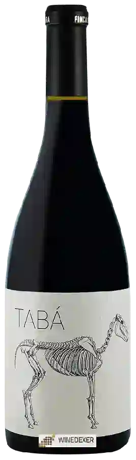 Winery Finca Bacara - Tabá Winery Finca Bacara - Tabá