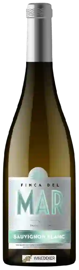Winery Finca del Mar - Sauvignon Blanc