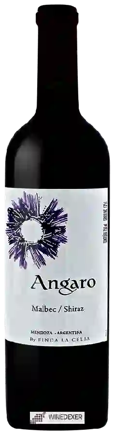 Winery Finca La Celia - Angaro Malbec - Shiraz Winery Finca La Celia - Angaro Malbec - Shiraz