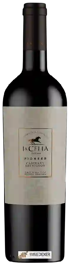 Winery Finca La Celia - Pioneer Cabernet Sauvignon