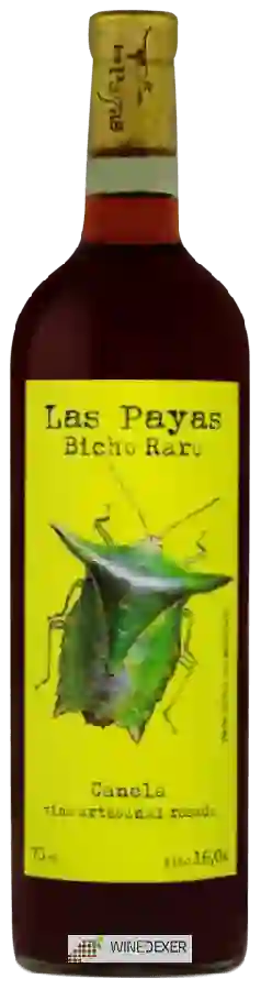 Winery Finca Las Payas - Bicho Raro Canela Winery Finca Las Payas - Bicho Raro Canela