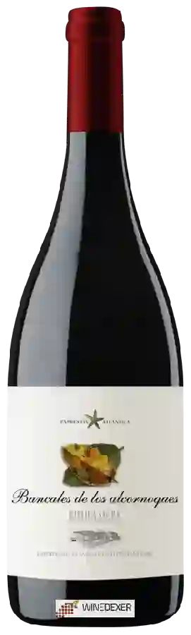 Winery Finca Míllara - Bancales de los Alcornoques Winery Finca Míllara - Bancales de los Alcornoques