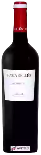 Winery Finca Sellés - Monastrell