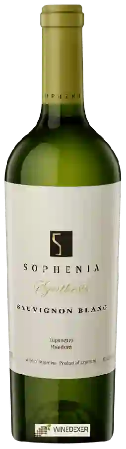 Winery Sophenia - Synthesis Sauvignon Blanc Winery Sophenia - Synthesis Sauvignon Blanc
