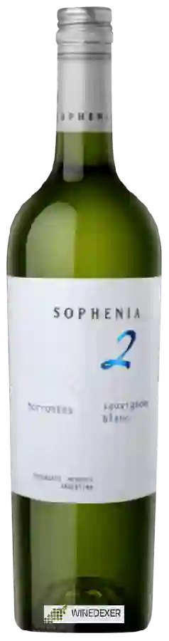 Winery Sophenia - 2 Torrontés - Sauvignon Blanc Winery Sophenia - 2 Torrontés - Sauvignon Blanc
