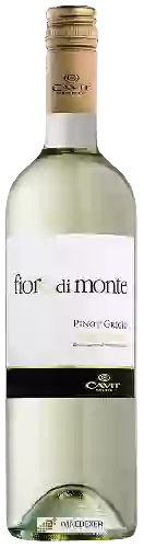 Winery Fiore di Monte - Pinot Grigio