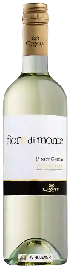 Winery Fiore di Monte - Pinot Grigio