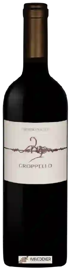 Winery Firmino Miotti - Groppello