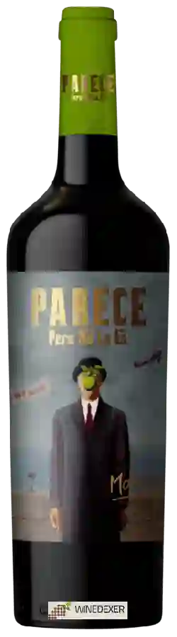 Winery Fishing Wine SAS - Parece Pero No Lo Es Malbec