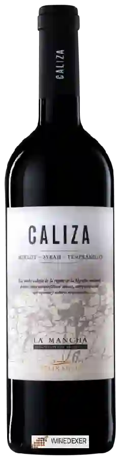 Winery Fitzroy Bay - Caliza La Mancha Merlot - Syrah - Tempranillo