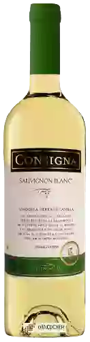 Winery Fitzroy Bay - Consigna Sauvignon Blanc Castilla