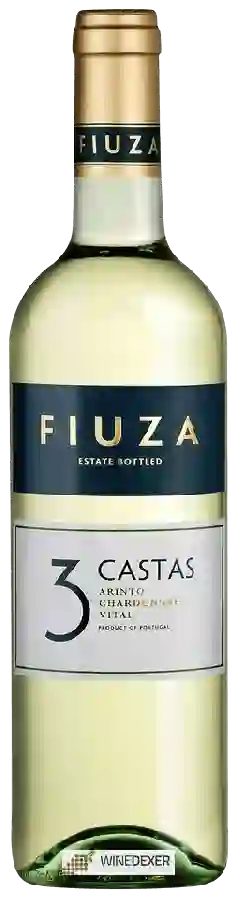 Winery Fiuza - 3 Castas Branco