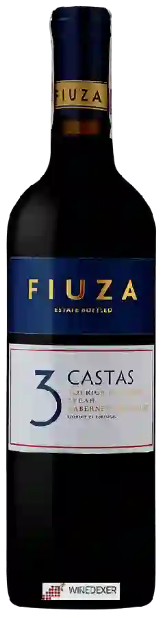Winery Fiuza - 3 Castas Tinto